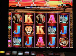 壹号电子娱乐app下载正式版